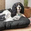 A dog is lying on a dog bed next to a plant in a basket. Produktbild-Vorschau