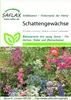 Artikelbild 1 von 'Blumenwiese Schattengewächse' aus der Kategorie Wildblumenwiese Voir les images du produit