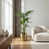 Green boutiQ - Zimmerpflanze - Howea Forsteriana - Produktbild-Vorschau 4