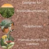 Blähton Kugeln Pflanz Granulat Ton Hydro Kultursubstrat Produktbild-Vorschau 4