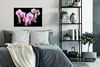 MuchoWow® Poster Orchidee - Blumen - Rosa - Flora 60x40 cm Produktbild-Vorschau 4