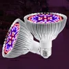 Two LED grow lights with red and blue LEDs are displayed against a dark purple background. Produktbild-Vorschau