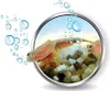 Galileo Original Triops Starter-Set Anteprima dell’immagine prodotto 10