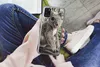 MuchoWow® Handyhülle Schutzhülle Hülle für Samsung Galaxy Produktbild-Vorschau 3