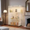 ProximaX vitrine en verre à double porte avec 3 niveaux, Voir les images du produit 3