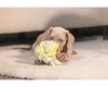 Beeztees Welpe Izzy Schnüffelball - Hundespielzeug - Produktbild-Vorschau 3