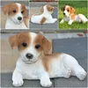 Figurine décorative de jardin Jack Russel Voir les images du produit 6