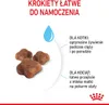 Marketing image for Royal Canin Feline Mother & Babycat food, showing kibble and text describing benefits for mother cats and kittens. Produktbild-Vorschau