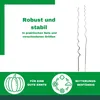 Novatool 5 Tomatenstäbe 110 cm 5 mm Durchmesser Produktbild-Vorschau 3