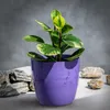 Coperchio per vaso da fiori KADAX, vaso da fiori, 14 cm, Anteprima dell’immagine prodotto 6