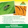 Neudorff SF Nematoden gegen Trauermücken - 5 Mio - für 50 Produktbild-Vorschau 4