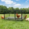 Gabbia per galline - Pollaio per interni ed esterni - Anteprima dell’immagine prodotto 2