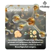 Vitabay Nattokinase 2.000 FU – 180 vegane Kapseln – Produktbild-Vorschau 5