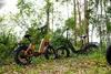 48V 18Ah, elektrické bicykel, skladacie, s pneumatikami Náhľad obrázku produktu 16