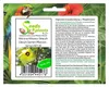 10x Hibiscus tiliaceus Strauch Eibisch Garten Pflanzen - Produktbild-Vorschau 1