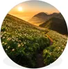 MuchoWow® Rundes Wandbild - Runde Bilder Blumen - Sonne - Produktbild-Vorschau 1