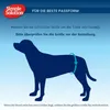 Simple Solution, pañales para perros XL, 12 unidades Vista previa de la imagen del producto 6