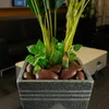 Dekosteine rot poliert 20 kg | Kieselsteine Garten 5-8 cm | Produktbild-Vorschau 7