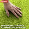 Paillasson Domenico Tapis de propreté élégant et pratique Voir les images du produit 4