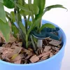 Pinces de fixation pour plantes, pinces de jardinage, 50 Voir les images du produit 11