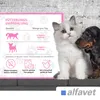 Alfavet FeliGum Gingiva 120g für Katzen und kleine Hunde Produktbild-Vorschau 6