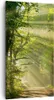 Bild auf Leinwand - Leinwandbild - Wald Baum Natur - Produktbild-Vorschau 1