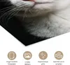 MuchoWow® Poster Katze - Schwarz - Weiß 90x120 cm - Produktbild-Vorschau 2