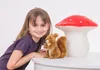 Eichhörnchen, 17 cm, Plüsch, 1 Stück Produktbild-Vorschau 2