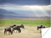 MuchoWow® Poster Wilde Tiere und wunderschöne Produktbild-Vorschau 1