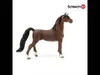 Schleich Horse Club 13913 American Saddlebred Wallach Anteprima dell’immagine prodotto 11