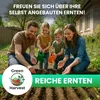 Green Harvest Gemüsesamen Set, 20 Sorten, 20 Beutel, Produktbild-Vorschau 3