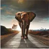 ARTland Wandbild Alu für Innen & Outdoor Ein Elefant läuft Produktbild-Vorschau 2