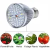 A grow light bulb is shown above four circular images of plants: flowers and fruits, herbs, foliage plants, and vegetables. Náhľad obrázku produktu