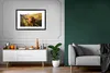 MuchoWow® MuchoWow® Gerahmtes Poster Scottish Hochlandrind Produktbild-Vorschau 8