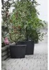 Pflanzcontainer mit Griff geli Kunststoff Ø 55 cm H 45 cm Produktbild-Vorschau 2