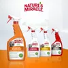 Nature's Miracle Set-In Fleckenentferner Hund, konzentriert Produktbild-Vorschau 7