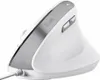 TRUST Trust Bayo II mouse da ufficio destro USB Type-A Anteprima dell’immagine prodotto 7