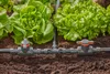 GARDENA® Micro-Drip-System 2.0 T-Stück 13 mm - 1/2" - 2er Produktbild-Vorschau 14