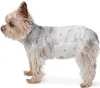 A. Basics Hundewindel für Rüden, Einwegwindeln, Größe XS, Produktbild-Vorschau 1