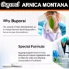 Arnica Montana 500 mg (120 capsule) integratore alimentare, Anteprima dell’immagine prodotto 9