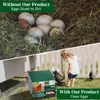 FCH Hühner Legenest 2 Abteile - Stabiles Metall Legenester Produktbild-Vorschau 3