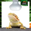 Heat Spot 25W Terrarium Wärmelampe E27 – Reptilien Produktbild-Vorschau 6