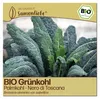 Samenliebe  Grünkohl Samen | Nero di Toscana - winterhart & Produktbild-Vorschau 1
