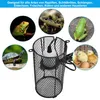 Reptilien Wärmelampe für Schildkröten & Vögel, Spotlampe Produktbild-Vorschau 6