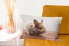 MuchoWow® Zierkissen Sofakissen Wohnzimmer Dekokissen 50x30 Produktbild-Vorschau 6