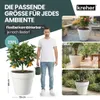 Kreher® 2 x XXL Pflanzkübel / Pflanztopf „LIKE“ Ø79xH70 cm Produktbild-Vorschau 5