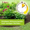 Protect Garden Permaclean Express Unkrautfrei AF - 1 Liter Produktbild-Vorschau 4