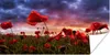 MuchoWow® Poster Mohn - Blumenfeld - Rot 160x80 cm - Foto Produktbild-Vorschau 1