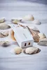A white USB charger is surrounded by seashells on a light-colored surface. Náhled obrázku produktu
