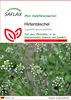 SAFLAX - Hirtentäschel - Capsella bursa-pastoris - 1000 Produktbild-Vorschau 1
